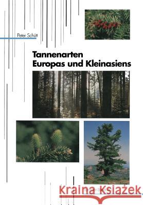Tannenarten Europas und Kleinasiens P. Schütt 9783764324407 Birkhauser Verlag AG