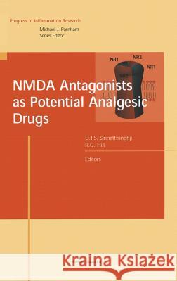 Nmda Antagonists as Potential Analgesic Drugs Sirinathsinghji, Dalip J. S. 9783764360115 Birkhauser Basel