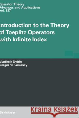 Introduction to the Theory of Toeplitz Operators with Infinite Index Berthold Wolfgang Schaaf S. M. Grudsky V. B. Dybin 9783764367282