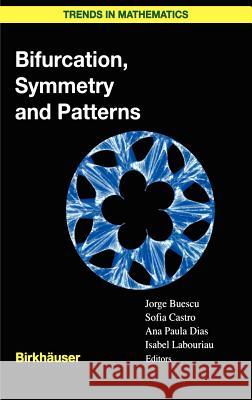 Bifurcation, Symmetry and Patterns Jorge Buescu Sofia Castro Ana Paula Dias 9783764370206
