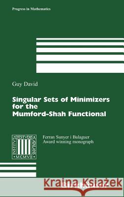 Singular Sets of Minimizers for the Mumford-Shah Functional David Guy 9783764371821 Birkhauser