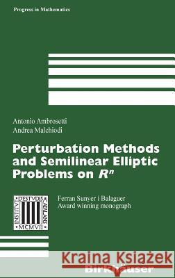 Perturbation Methods and Semilinear Elliptic Problems on R^n Antonio Ambrosetti Andrea Malchiodi 9783764373214 Springer