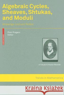 Algebraic Cycles, Sheaves, Shtukas, and Moduli: Impanga Lecture Notes Pragacz, Piotr 9783764385361