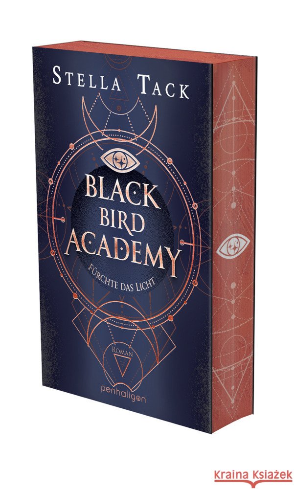 Black Bird Academy - Fürchte das Licht Tack, Stella 9783764532833 Penhaligon