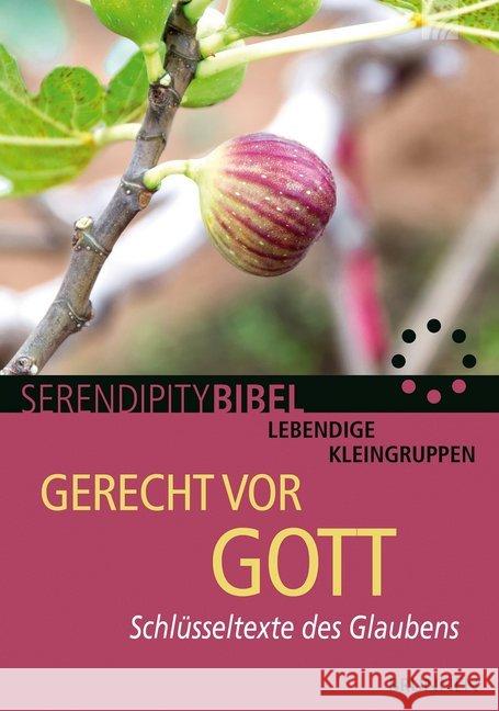 Gerecht vor Gott : Schlüsseltexte des Glaubens Riecker, Siegbert 9783765507748 Brunnen-Verlag, Gießen