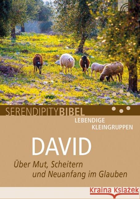 David : Über Mut, Scheitern und Neuanfang im Glauben Clausen, Matthias   9783765507960