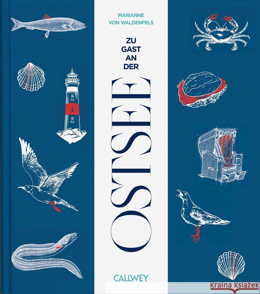 Zu Gast an der Ostsee Waldenfels, Marianne von 9783766726407