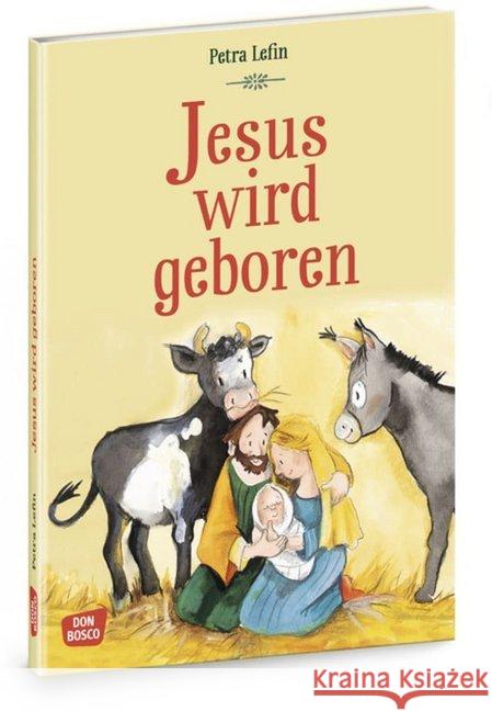 Jesus wird geboren : Die schönsten Geschichten aus der Kinderbibel Brandt, Susanne; Nommensen, Klaus-Uwe 9783769824247 Don Bosco Medien