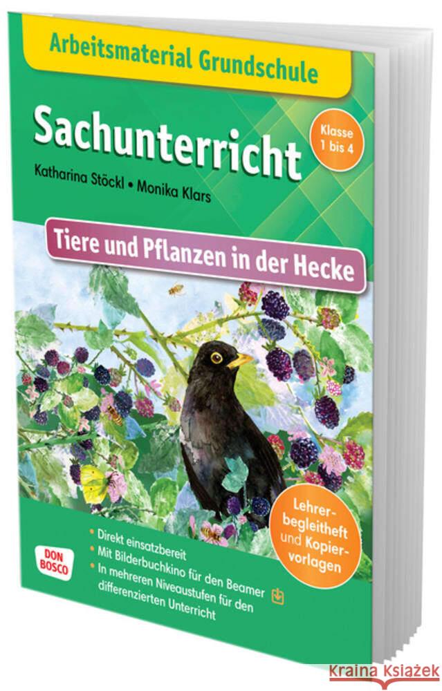 Arbeitsmaterial Grundschule. Sachunterricht: Tiere und Pflanzen in der Hecke, m. 1 Beilage Stöckl-Bauer, Katharina 9783769824827