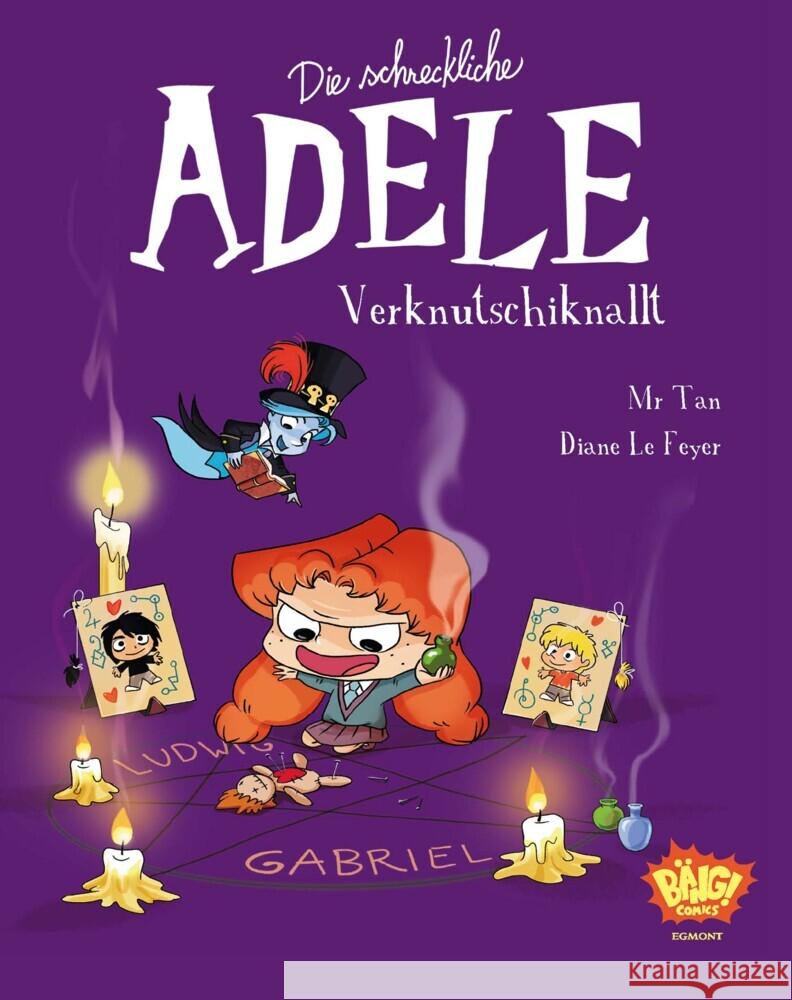 Die schreckliche Adele 10 Mr. Tan, Le Feyer, Diane 9783770408757