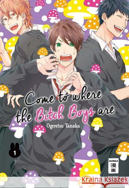 Come to where the Bitch Boys are. Bd.1 Tanaka, Ogeretsu 9783770495887
