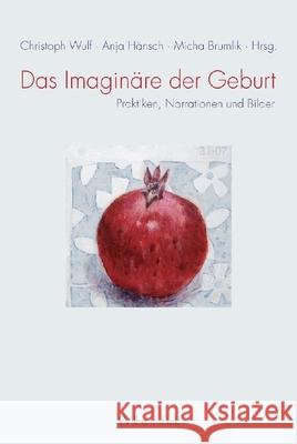 Das Imaginäre der Geburt: Praktiken, Narrationen und Bilder Anja Hänsch, Christoph Wulf, Micha Brumlik 9783770547180