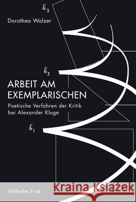 rbeit am Exemplarischen : Poetische Verfahren der Kritik bei Alexander Kluge Walzer, Dorothea 9783770562015 Fink (Wilhelm)