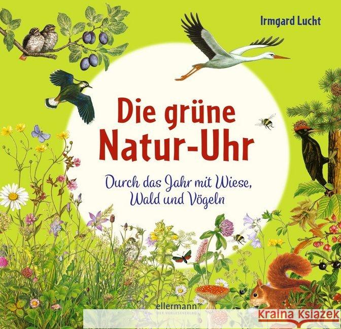 Die grüne Natur-Uhr : Durch das Jahr mit Wiese, Wald und Vögeln Lucht, Irmgard 9783770700684 Ellermann