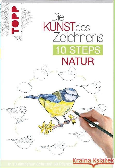Die Kunst des Zeichnens 10 Steps - Natur : In 10 einfachen Schritten 60 Pflanzen & Tiere zeichnen Woodin, Mary 9783772483929