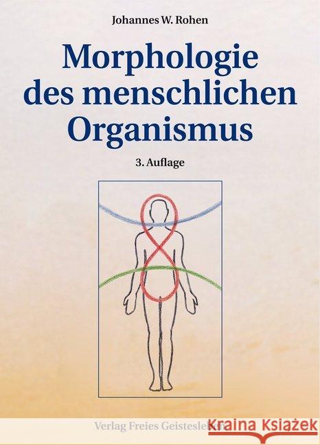 Morphologie des menschlichen Organismus : Eine goetheanistische Gestaltlehre des Menschen Rohen, Johannes W.   9783772519987 Freies Geistesleben