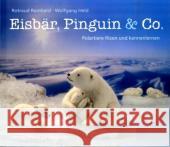 Eisbär, Pinguin & Co. : Polartiere filzen und kennenlernen Reinhard, Rotraud Held, Wolfgang  9783772520686 Freies Geistesleben