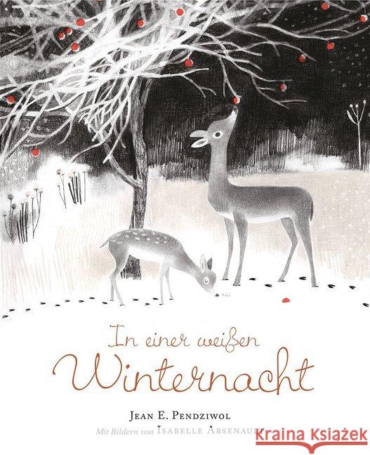 In einer weißen Winternacht : Bilderbuch Pendziwol, Jean E. 9783772526824 Freies Geistesleben