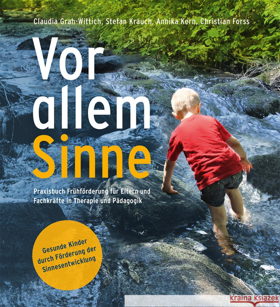 Vor allem Sinne Grah-Wittich, Claudia, Forss, Christian, Kern, Annika 9783772528095