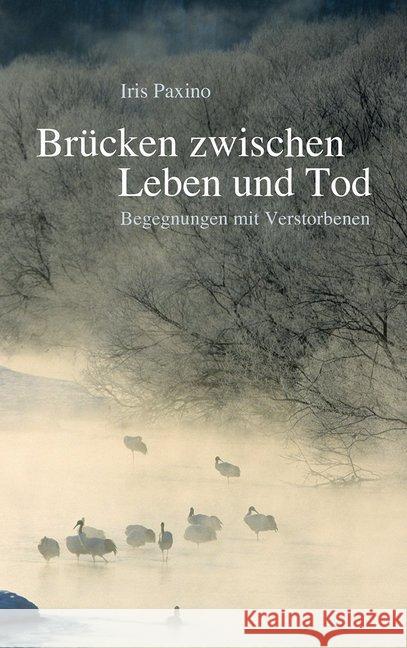 Brücken zwischen Leben und Tod : Begegnungen mit Verstorbenen Paxino, Iris 9783772528828 Freies Geistesleben