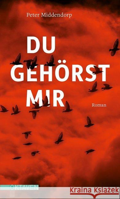 Du gehörst mir : Roman Middendorp, Peter 9783772530135 Freies Geistesleben