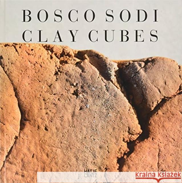 Bosco Sodi: Clay Cubes Sodi, Bosco 9783775742771 Hatje Cantz Publishers