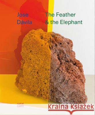 Jose Dávila: The Feather and the Elephant Dávila, Jose 9783775744225 Hatje Cantz