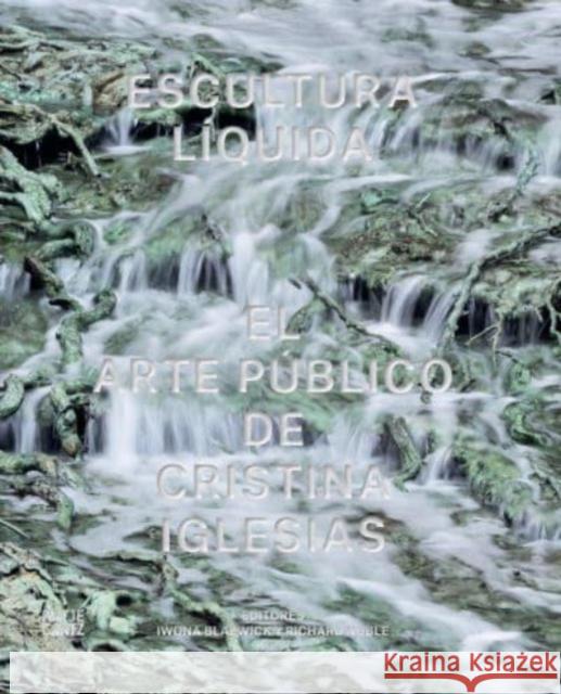 Escultura Liquida (Spanish edition): El arte publico de Cristina Iglesias Iwona Blazwick 9783775754064