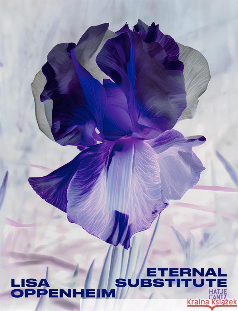 Lisa Oppenheim: Eternal Substitute Jacob Proctor 9783775760225 Hatje Cantz