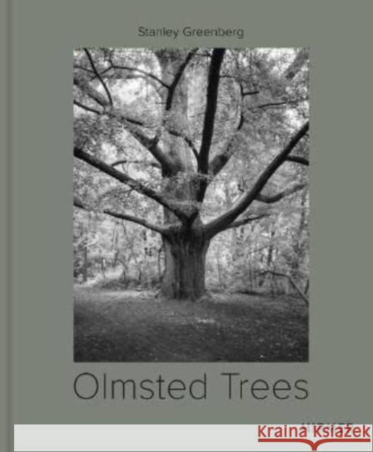 Olmsted Trees (Bilingual edition): Stanley Greenberg Mindy Fullilove 9783777438573