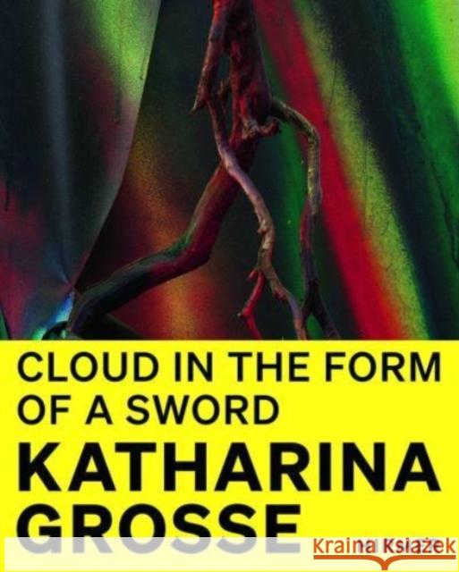 Katharina Grosse: Cloud in the Shape of a Sword Schwarzwälder, Rosemarie 9783777438696 Hirmer Verlag
