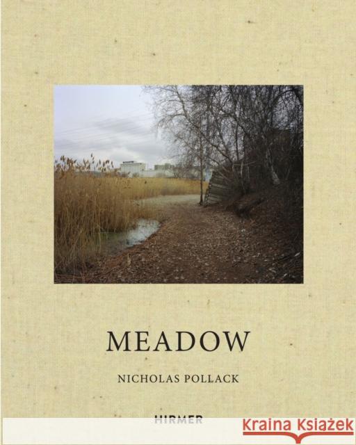 Nicholas Pollack: Meadow Pollack, Nicholas 9783777439945 Hirmer Verlag