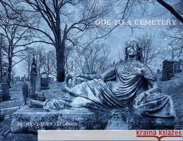 Bethany Eden Jacobson: Ode to a Cemetery Cole Swensen 9783777443645