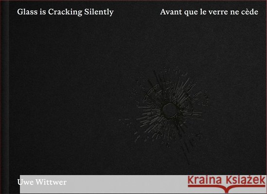 Uwe Wittwer  9783777447070 Hirmer Verlag