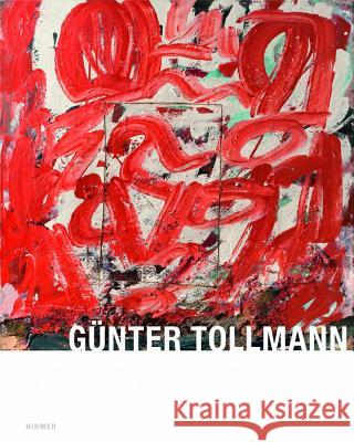 Guenter Tollmann Norten, Rainer 9783777450315 Hirmer