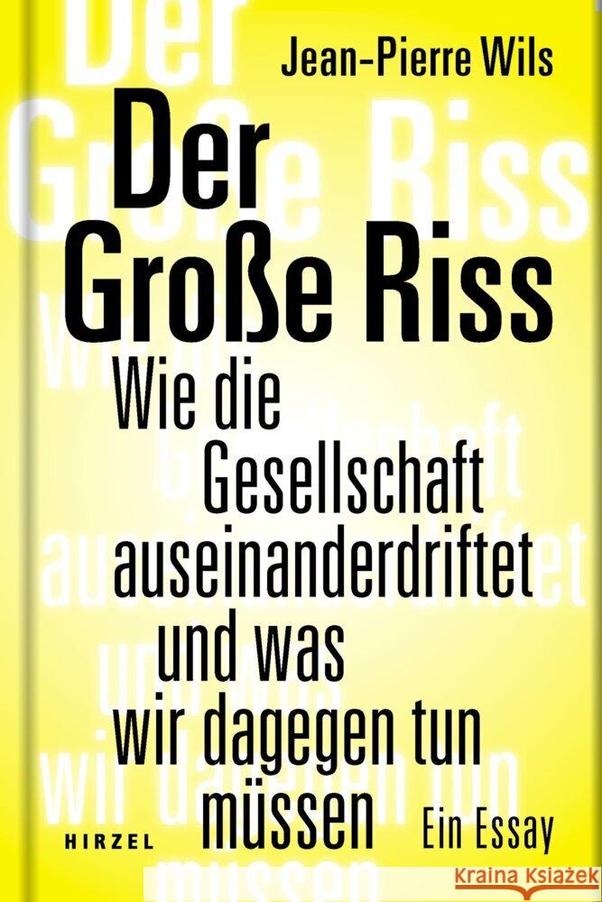 Der Große Riss Wils, Jean-Pierre 9783777629186 Hirzel, Stuttgart