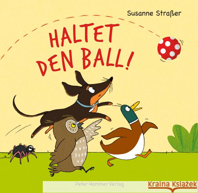 Haltet den Ball! Straßer, Susanne 9783779507437
