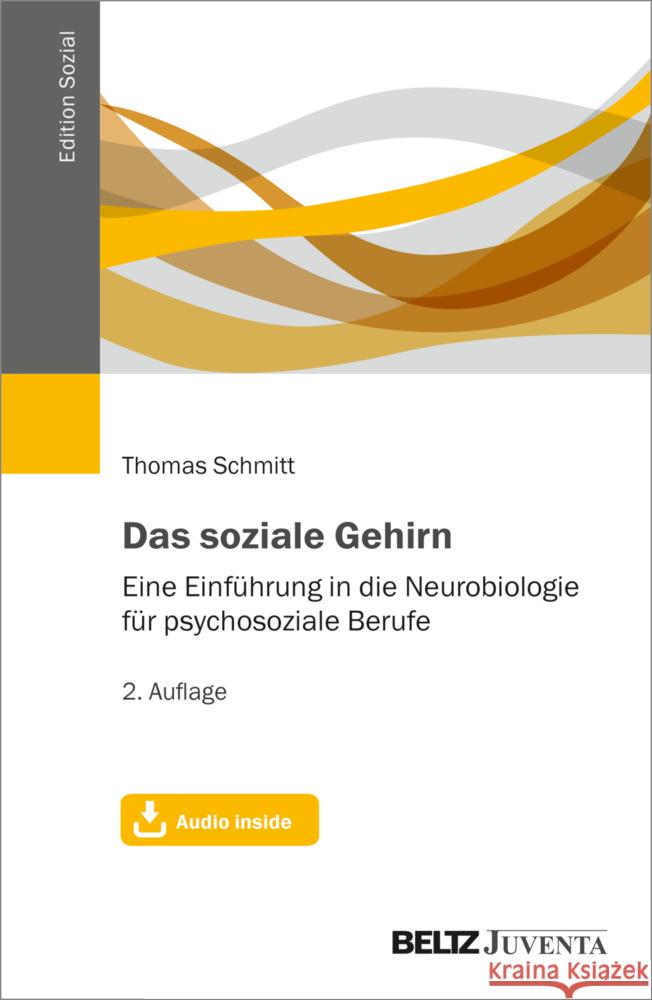 Das soziale Gehirn Schmitt, Thomas 9783779931713 Beltz Juventa