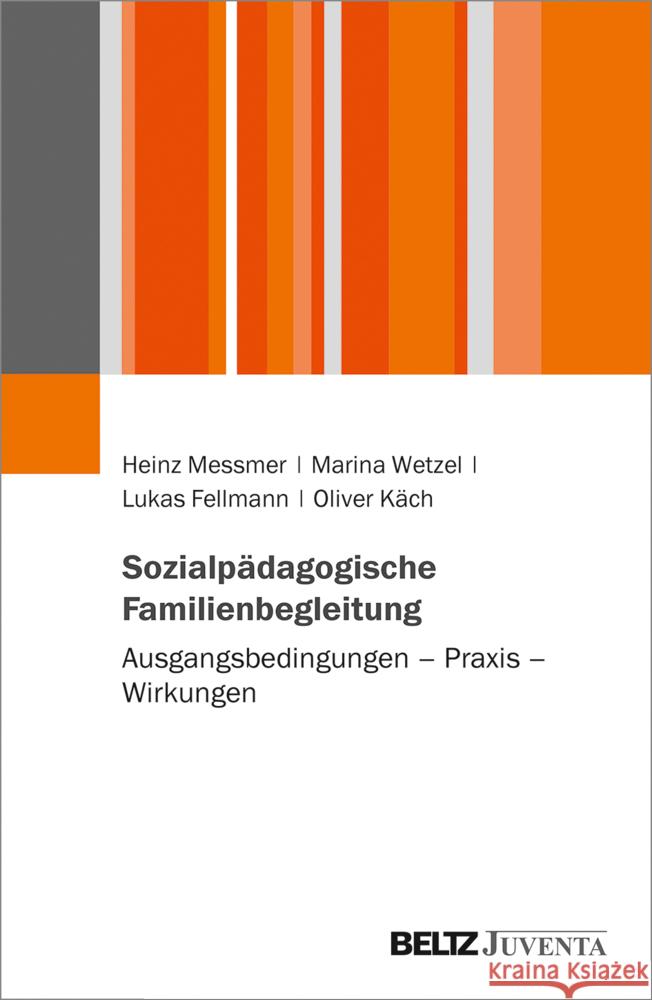 Sozialpädagogische Familienbegleitung Messmer, Heinz, Wetzel, Marina, Fellmann, Lukas 9783779965374