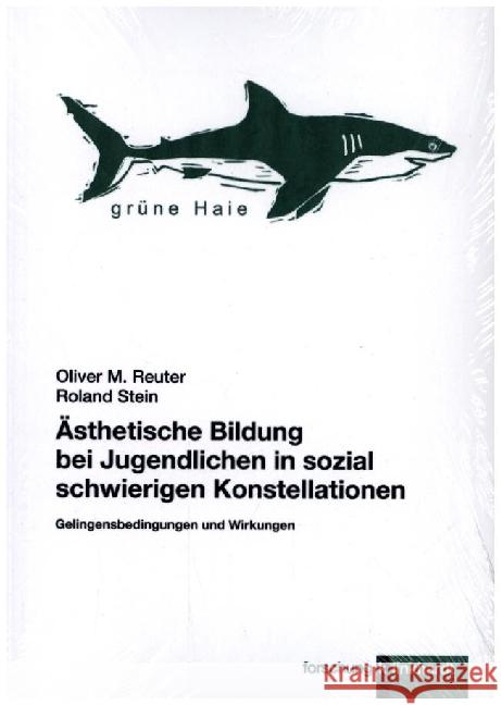 Ästhetische Bildung bei Jugendlichen in sozial schwierigen Konstellationen Reuter, Oliver M., Stein, Roland 9783781526587 Klinkhardt