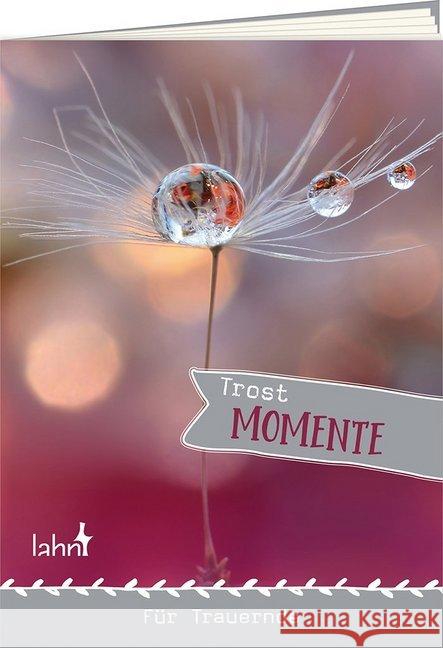 Trostmomente für Trauernde Rau, Ruth 9783784079103 Lahn