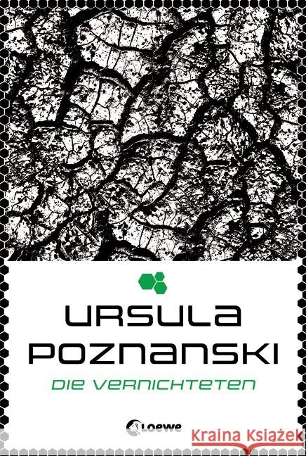 Die Vernichteten Poznanski, Ursula 9783785575482 Loewe Verlag