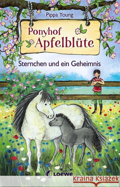 Ponyhof Apfelblüte - Sternchen und ein Geheimnis Young, Pippa 9783785582374 Loewe Verlag