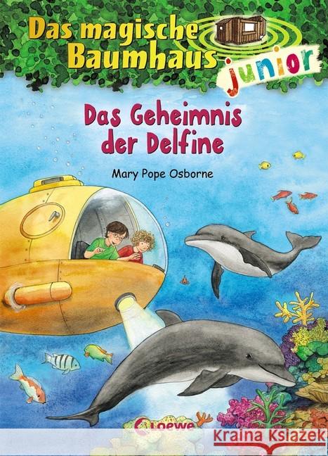 Das magische Baumhaus junior - Das Geheimnis der Delfine Pope Osborne, Mary 9783785587577