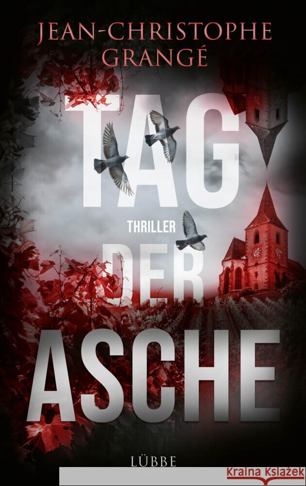 Tag der Asche Grangé, Jean-Christophe 9783785727874 Bastei Lübbe