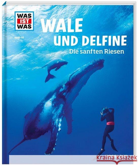 Wale und Delfine. Die sanften Riesen Baur, Manfred 9783788620349