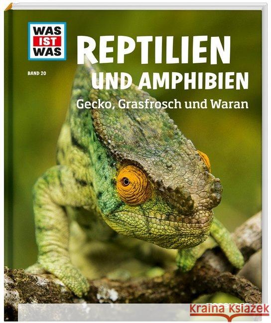 Reptilien und Amphibien : Gecko, Grasfrosch und Waran Rigos, Alexandra 9783788620530 Tessloff