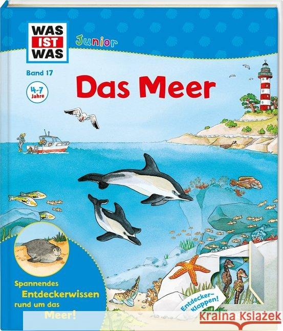 Das Meer : Spannendes Entdeckerwissen rund um das Meer! Braun, Christina 9783788622190 Tessloff