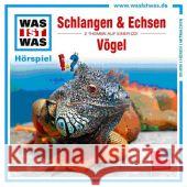 Schlangen und Echsen / Vögel, 1 Audio-CD : 2 Themen auf einer CD!. Sehen Hören Mitmachen Baur, Manfred 9783788629083