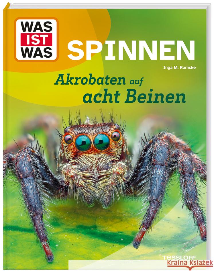 WAS IST WAS Spinnen. Akrobaten auf acht Beinen Ramcke, Inga Marie 9783788677060 Tessloff Verlag Ragnar Tessloff GmbH & Co. KG